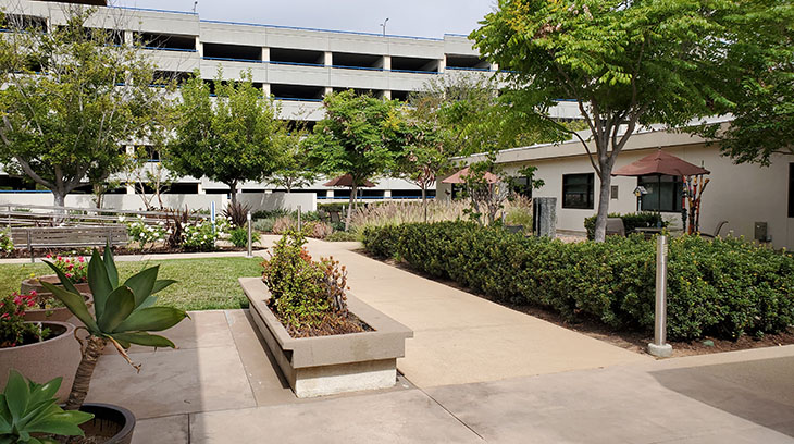A therapeutic healing garden providing a quiet area to relax.